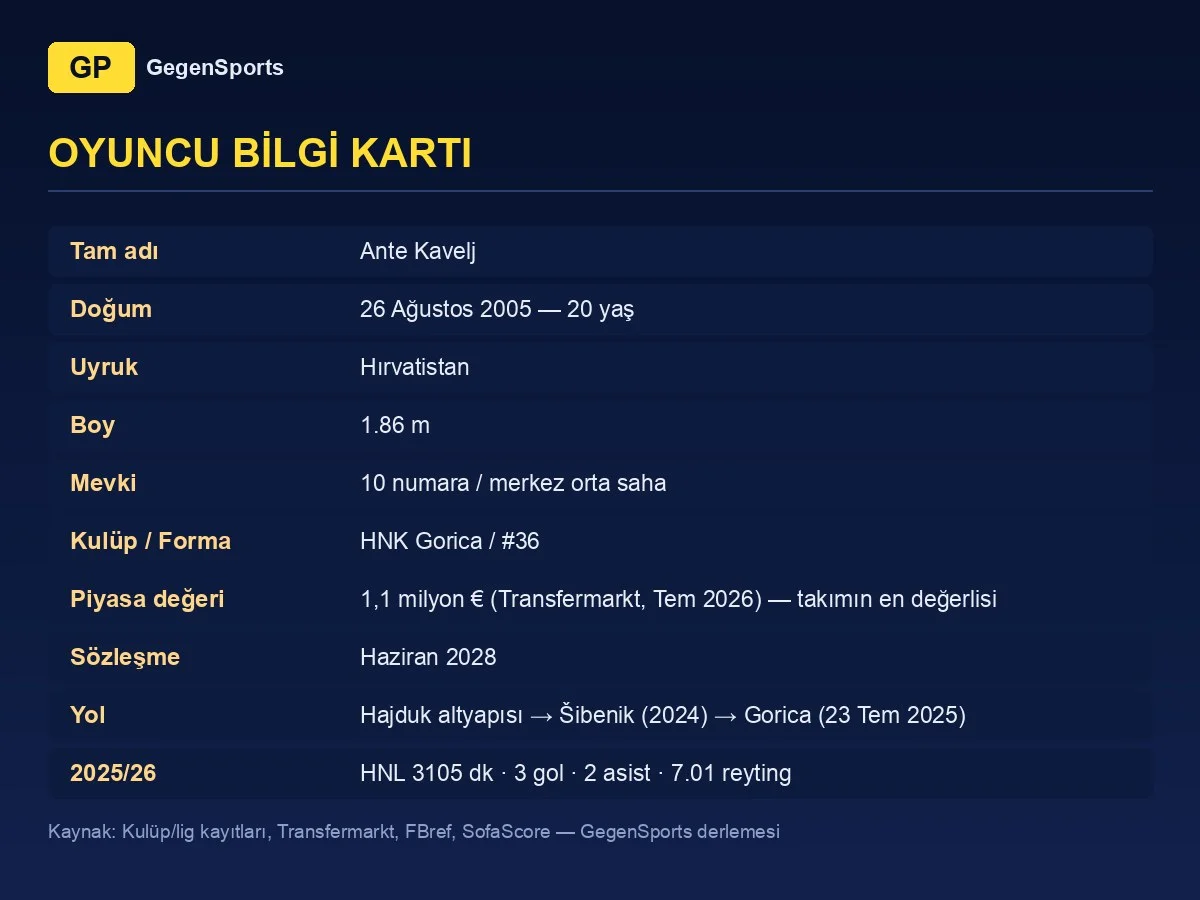 Ante Kavelj player card: 20, No 10, HNK Gorica