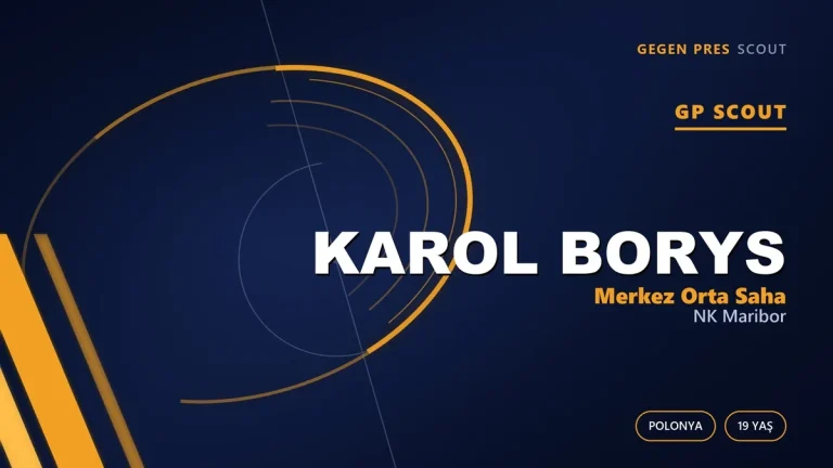 Belçika-Sloven Ekseninde Pişen Polonyalı: Karol Borys Dosyası