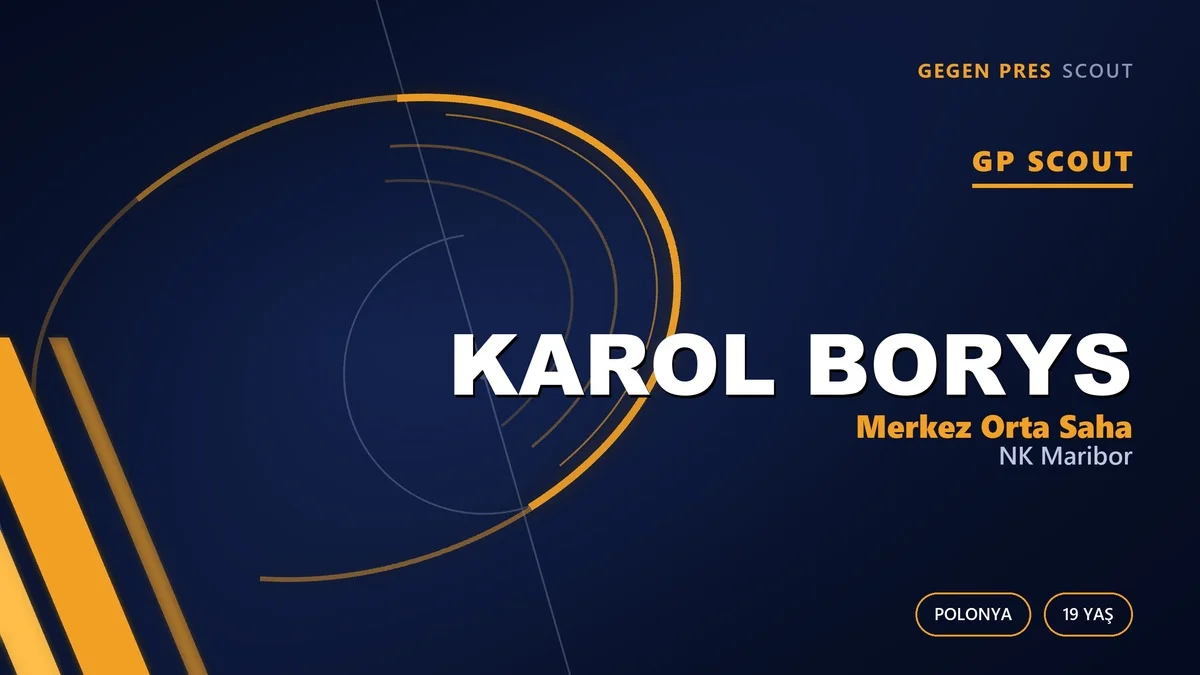 Belçika-Sloven Ekseninde Pişen Polonyalı: Karol Borys Dosyası