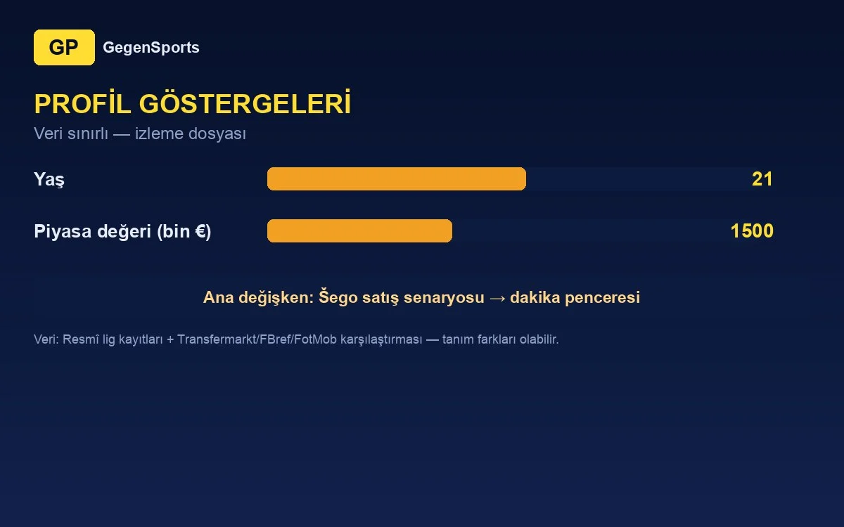 Marin Sotiček profil göstergeleri