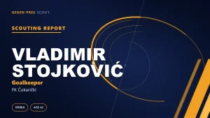 Vladimir Stojković scouting report: what function does the 42-year-old legend serve?