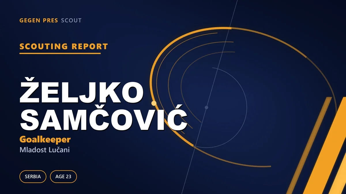 Željko Samčović scouting report: a 1.98 m penalty hunter and the window an expiring contract opens