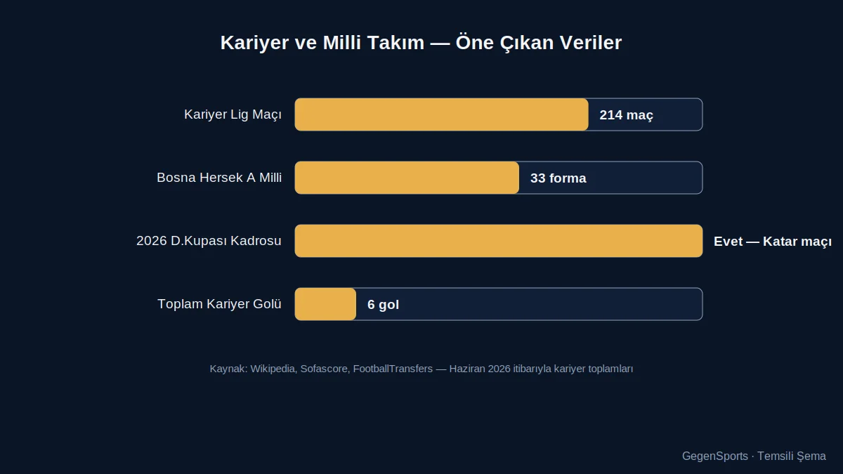 Dennis Hadžikadunić kariyer ve milli takım istatistikleri grafiği - temsili şema